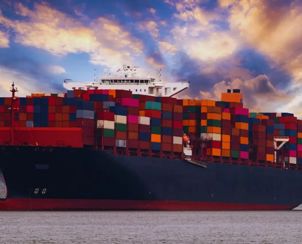 Diseño sin título (14)