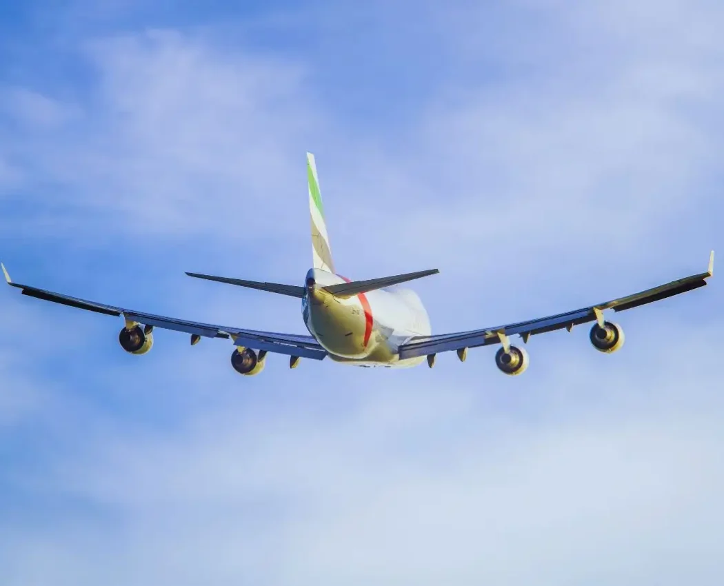 Diseño sin título (17)